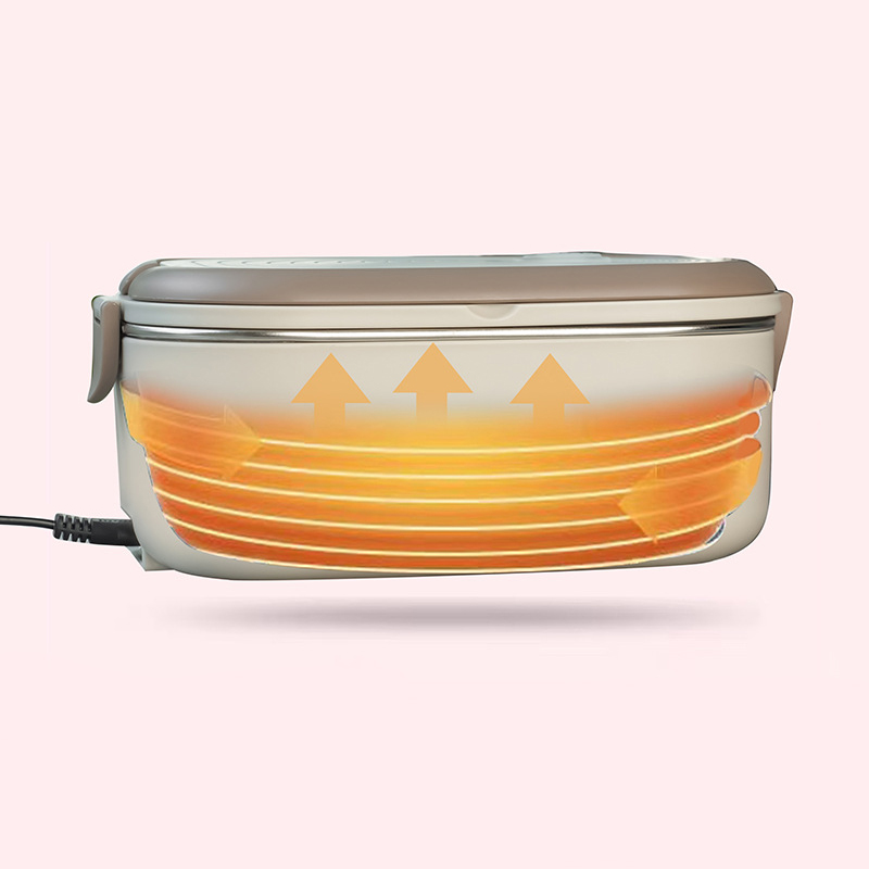 220V 110V Electric Lunch Box S - Meal Prep Tupperware recension och pris