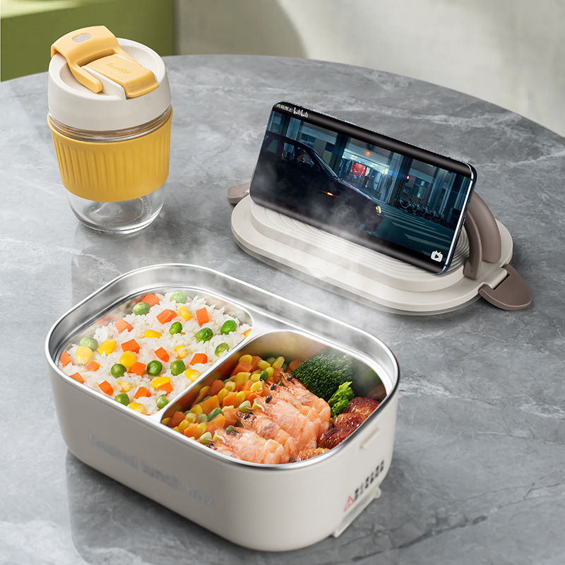 220V 110V Electric Lunch Box S - Meal Prep Tupperware recension och pris