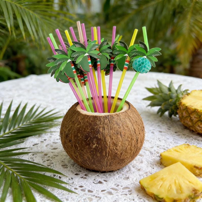Natural Coconut Bowl Set Organ - Meal Prep Smoothies recension och pris