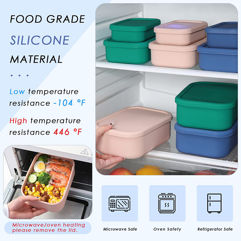 Leak-Resistant Bento Lunch Box - Meal Prep Tupperware recension och pris